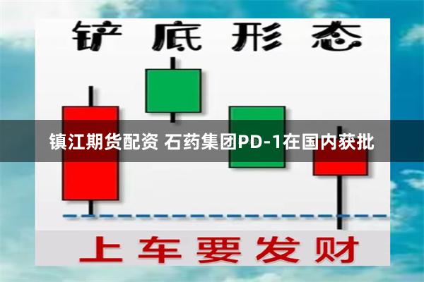 镇江期货配资 石药集团PD-1在国内获批