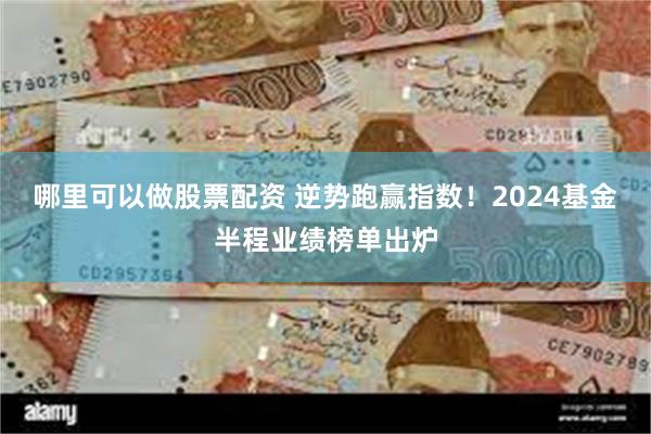 哪里可以做股票配资 逆势跑赢指数！2024基金半程业绩榜单出炉