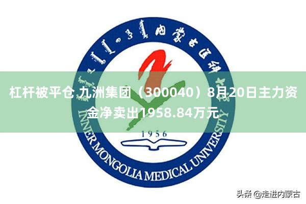 杠杆被平仓 九洲集团（300040）8月20日主力资金净卖出1958.84万元