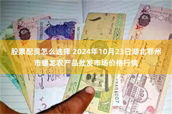 股票配资怎么选择 2024年10月23日湖北鄂州市蟠龙农产品批发市场价格行情