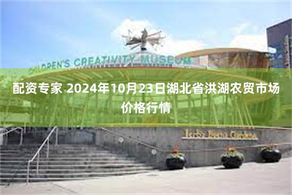 配资专家 2024年10月23日湖北省洪湖农贸市场价格行情