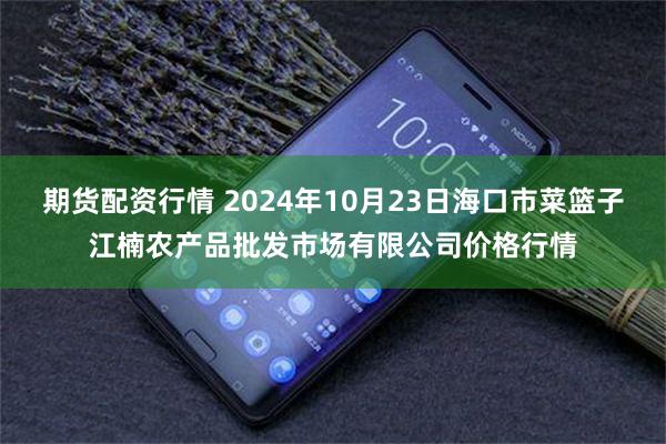 期货配资行情 2024年10月23日海口市菜篮子江楠农产品批发市场有限公司价格行情