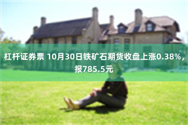 杠杆证券票 10月30日铁矿石期货收盘上涨0.38%，报785.5元