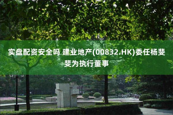 实盘配资安全吗 建业地产(00832.HK)委任杨斐斐为执行董事