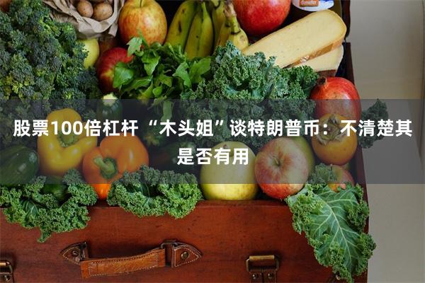 股票100倍杠杆 “木头姐”谈特朗普币：不清楚其是否有用