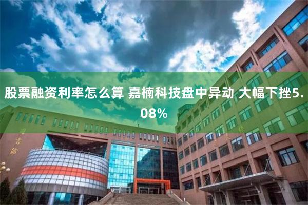 股票融资利率怎么算 嘉楠科技盘中异动 大幅下挫5.08%