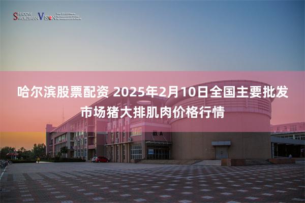 哈尔滨股票配资 2025年2月10日全国主要批发市场猪大排肌肉价格行情