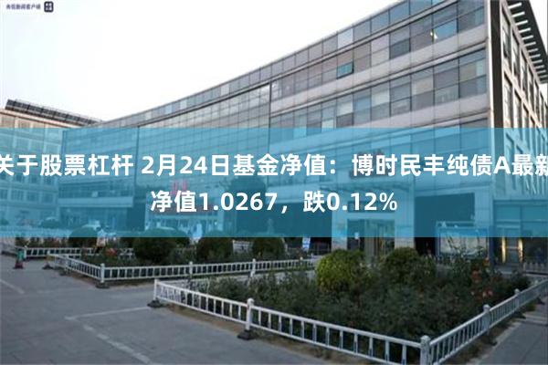 关于股票杠杆 2月24日基金净值：博时民丰纯债A最新净值1.0267，跌0.12%