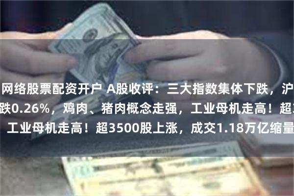 网络股票配资开户 A股收评：三大指数集体下跌，沪指跌0.04%创业板指跌0.26%，鸡肉、猪肉概念走强，工业母机走高！超3500股上涨，成交1.18万亿缩量1073亿