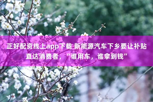 正好配资线上app下载 新能源汽车下乡要让补贴直达消费者，“谁用车，谁拿到钱”